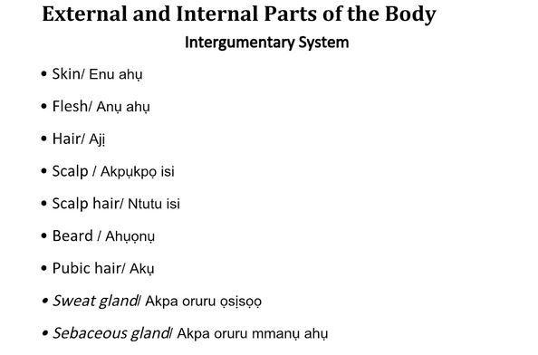 English Igbo Translation of Common Medical Terms NTAPi