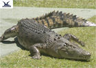 pd17906363-water_park_simulation_life_size_animatronic_animal_realistic_crocodile_models
