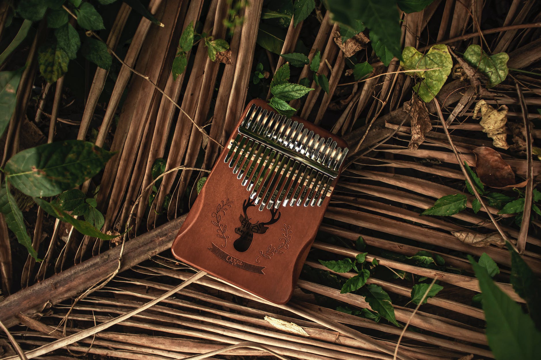 wooden kalimba forgotten on dry branch of palm in nature