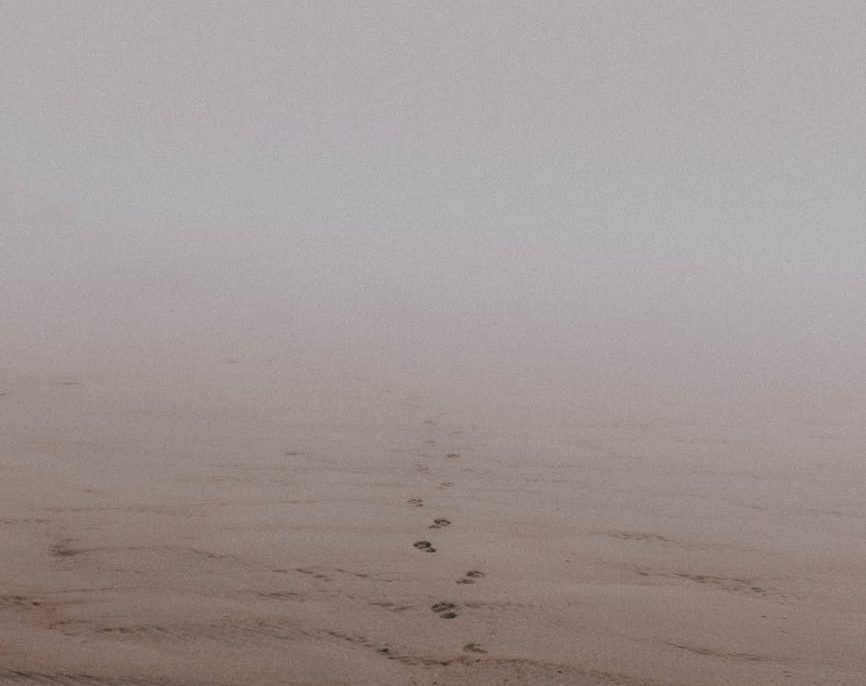 What is Harmattan Season and its Impact on Climate, Vegetation, and Daily Life