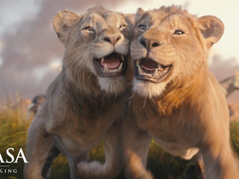 The Igbo Influence on The Lion King:&nbsp;Mufasa